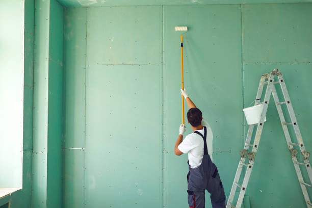 Reliable Atlanta, IL Mold Removal Solutions