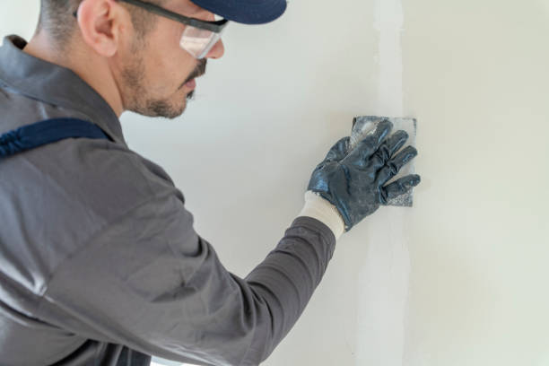 Best Mold Documentation for Insurance Claims  in Atlanta, IL