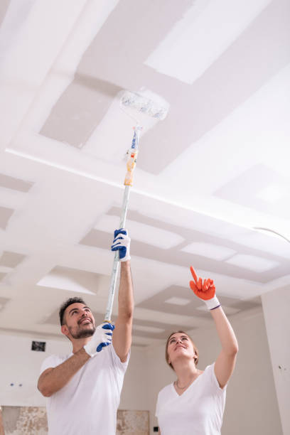 Best Asbestos and Lead Testing During Mold Inspection  in Atlanta, IL