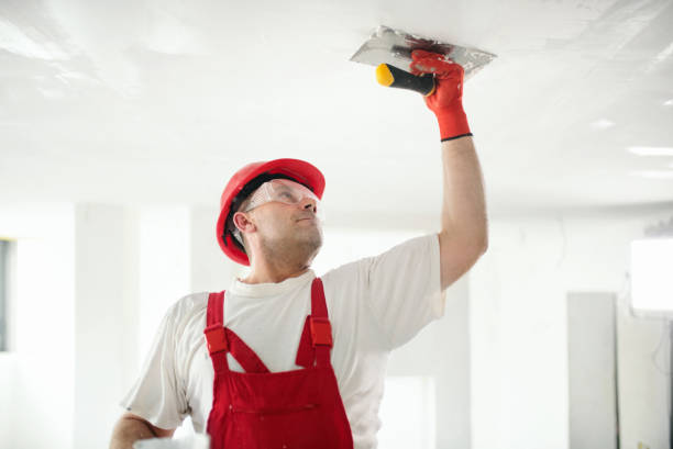 Best Emergency Mold Remediation  in Atlanta, IL