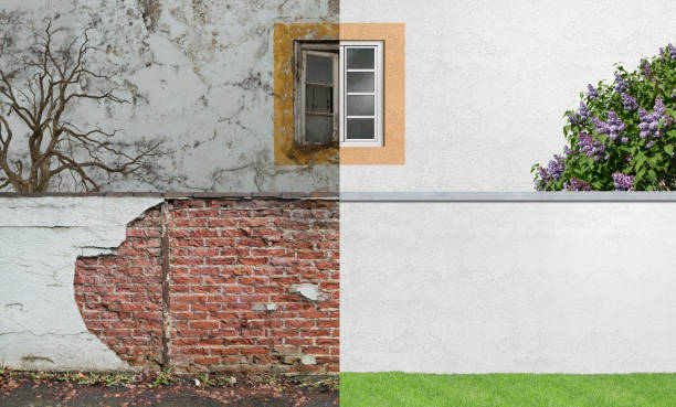 Best Basement Mold Removal  in Atlanta, IL