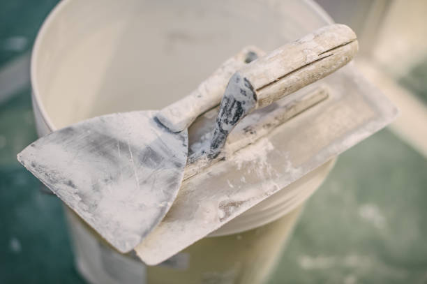 Best Attic Mold Removal  in Atlanta, IL